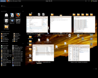 Come installare e provare Gnome-Shell: Gnome 3.0